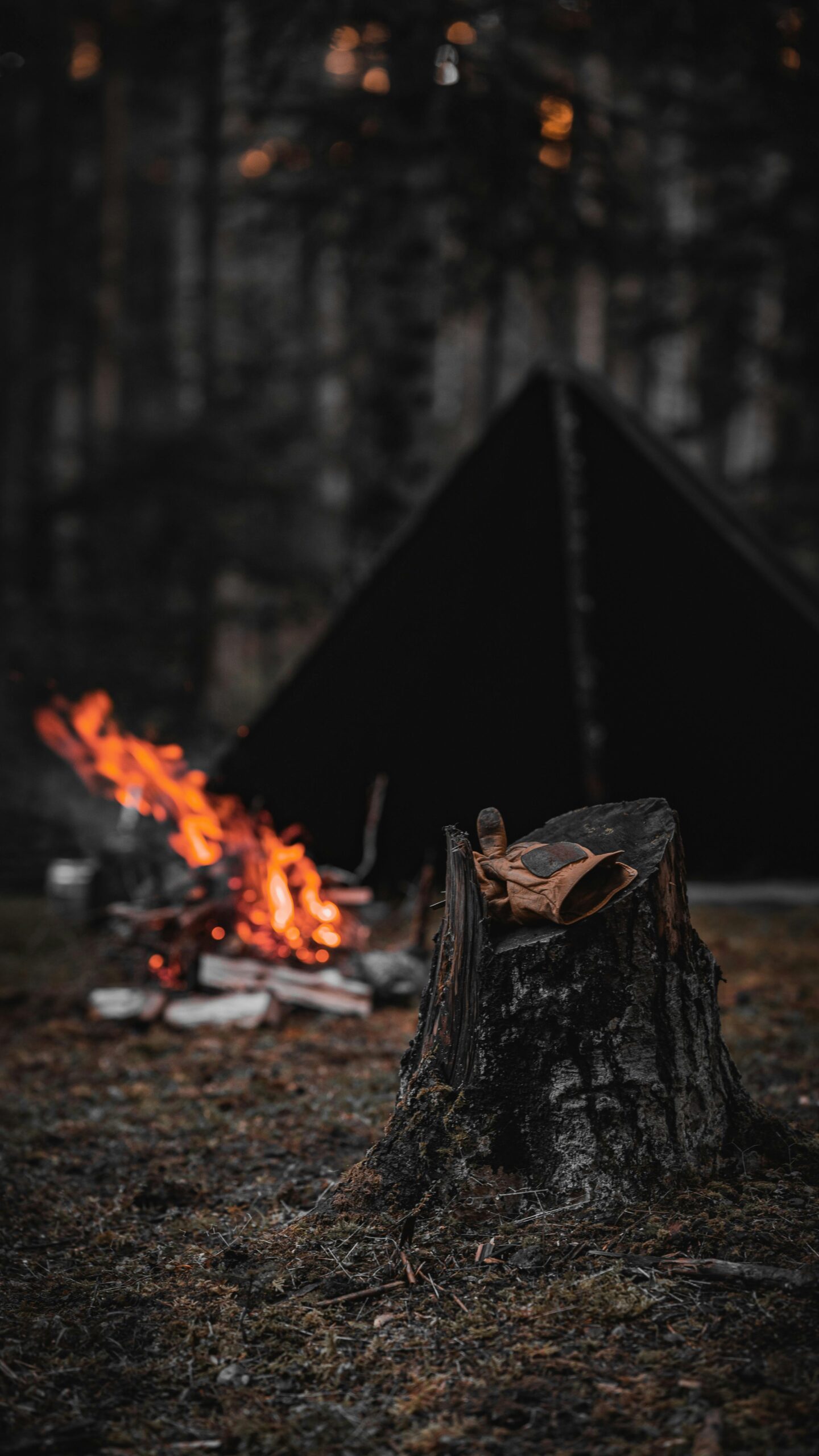 pexels-kampveyaban-15982632